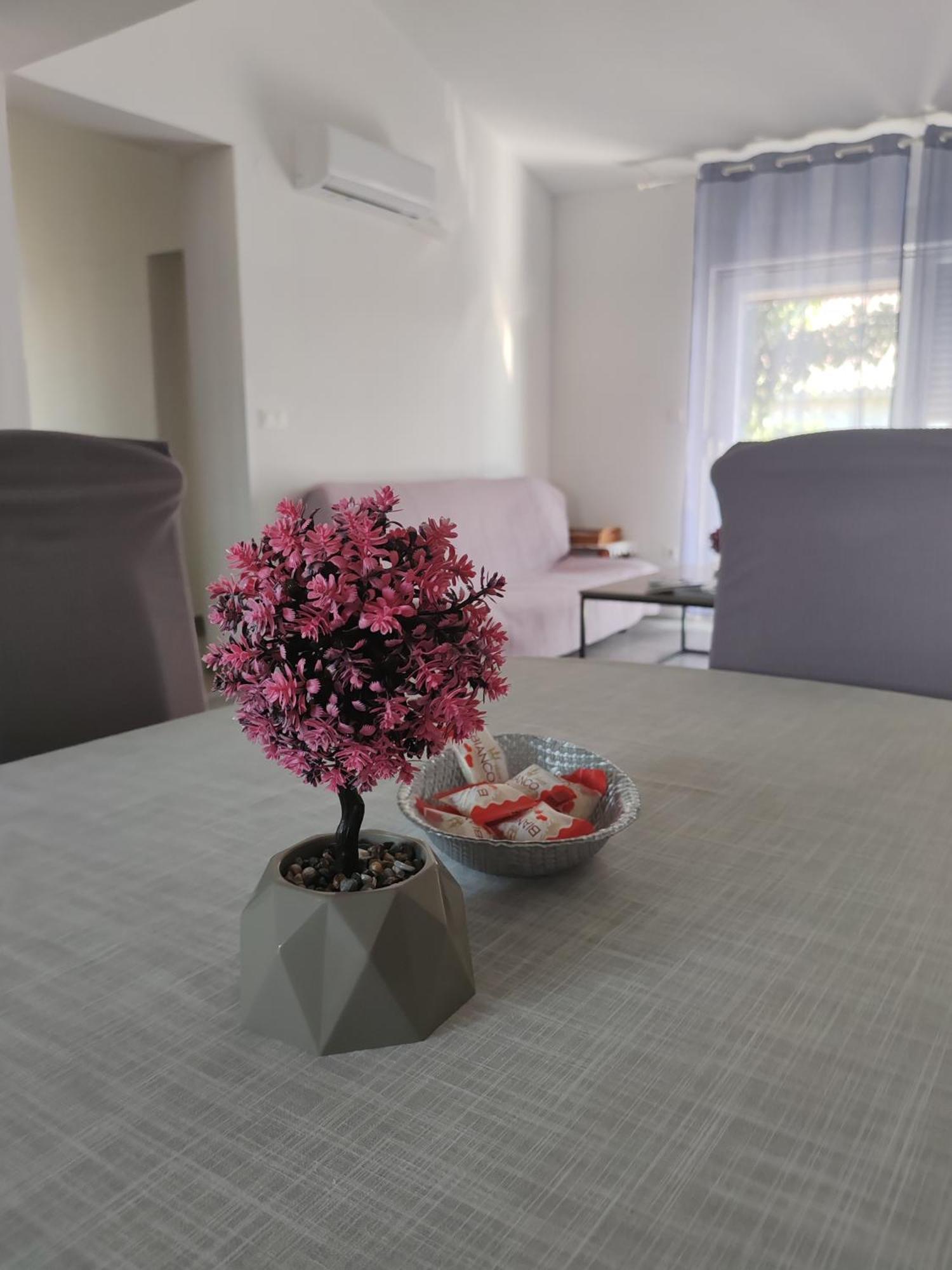 Apartman Olic Ražanac Eksteriør bilde